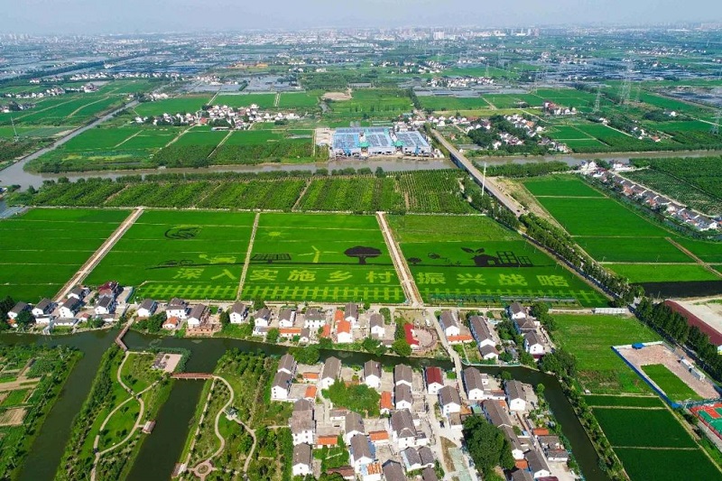 農(nóng)村人居環(huán)境整治提升5年行動(dòng)將啟！2021中央一號文件正式發(fā)布