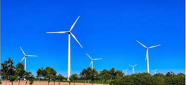 “兩高”項目盲目發展有哪些表現？看中央生態環保督察怎么說