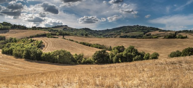 中央環(huán)保督察通報(bào)典型案例，污泥處置問題再上榜