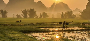 污泥含水率太難降？加點(diǎn)藥劑試試！