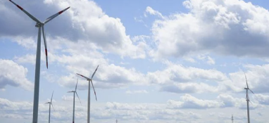 國(guó)務(wù)院辦公廳印發(fā)新污染物治理行動(dòng)方案 切實(shí)保障生態(tài)環(huán)境安全和人民健康