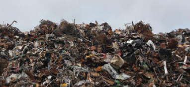 加快推進生活垃圾分類和資源化利用