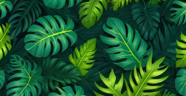 環保展|國家發改委：“節能降碳”單個項目補貼1億元！如何申請？