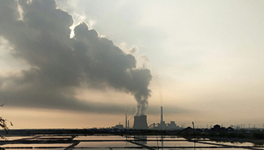 生態環境部：做好2025年全國碳排放權交易市場有關工作